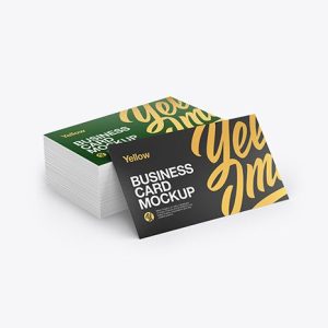 100 Biz Card